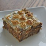 S’mores Squares — smores2
